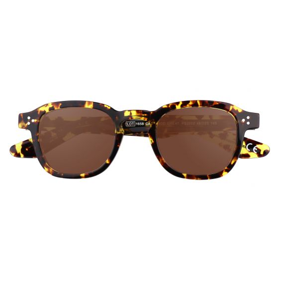 GREAT - HAVANA - LENTI MARRONI